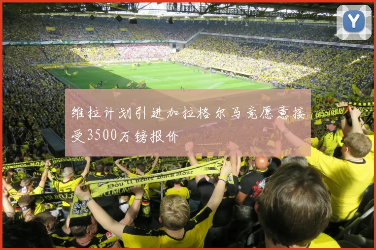 维拉计划引进加拉格尔马竞愿意接受3500万镑报价